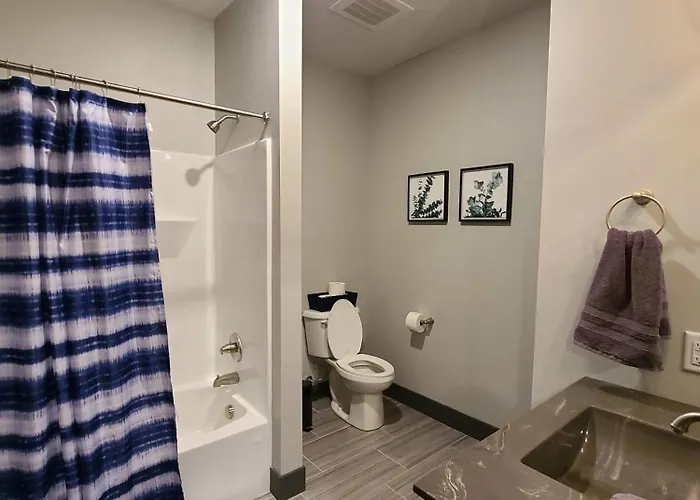 520 Neil Luxury 2 Bedroom Appartamento Champaign